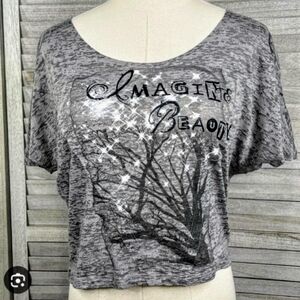 Mudd Gray Graphic Crop Top